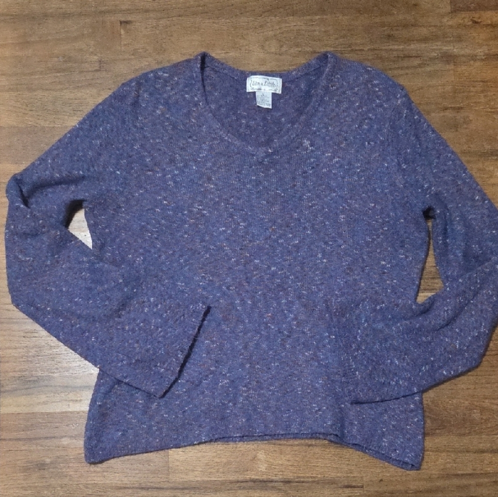 Live a Little V-Neck Sweater